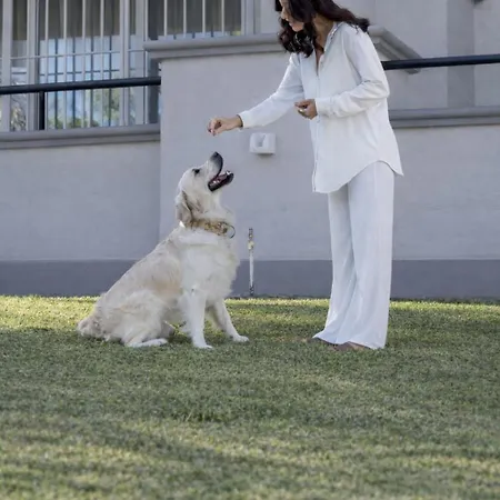 Elviria Hills Living 马尔韦利亚