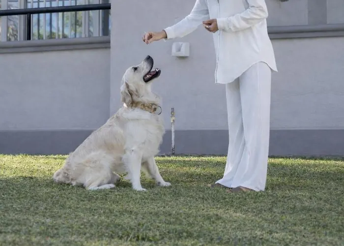 Elviria Hills Living Marbella